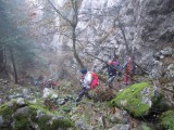 07. Bitoraj